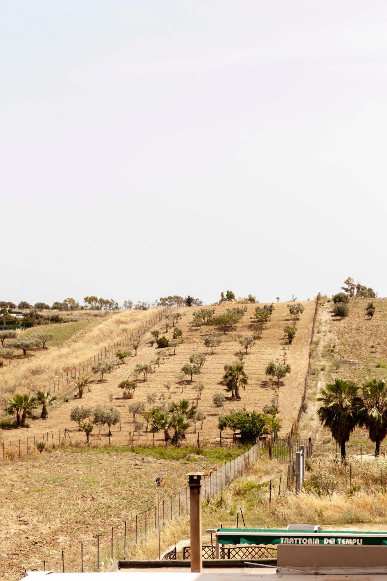Le Case Di Lucioli' San Leone Exterior photo