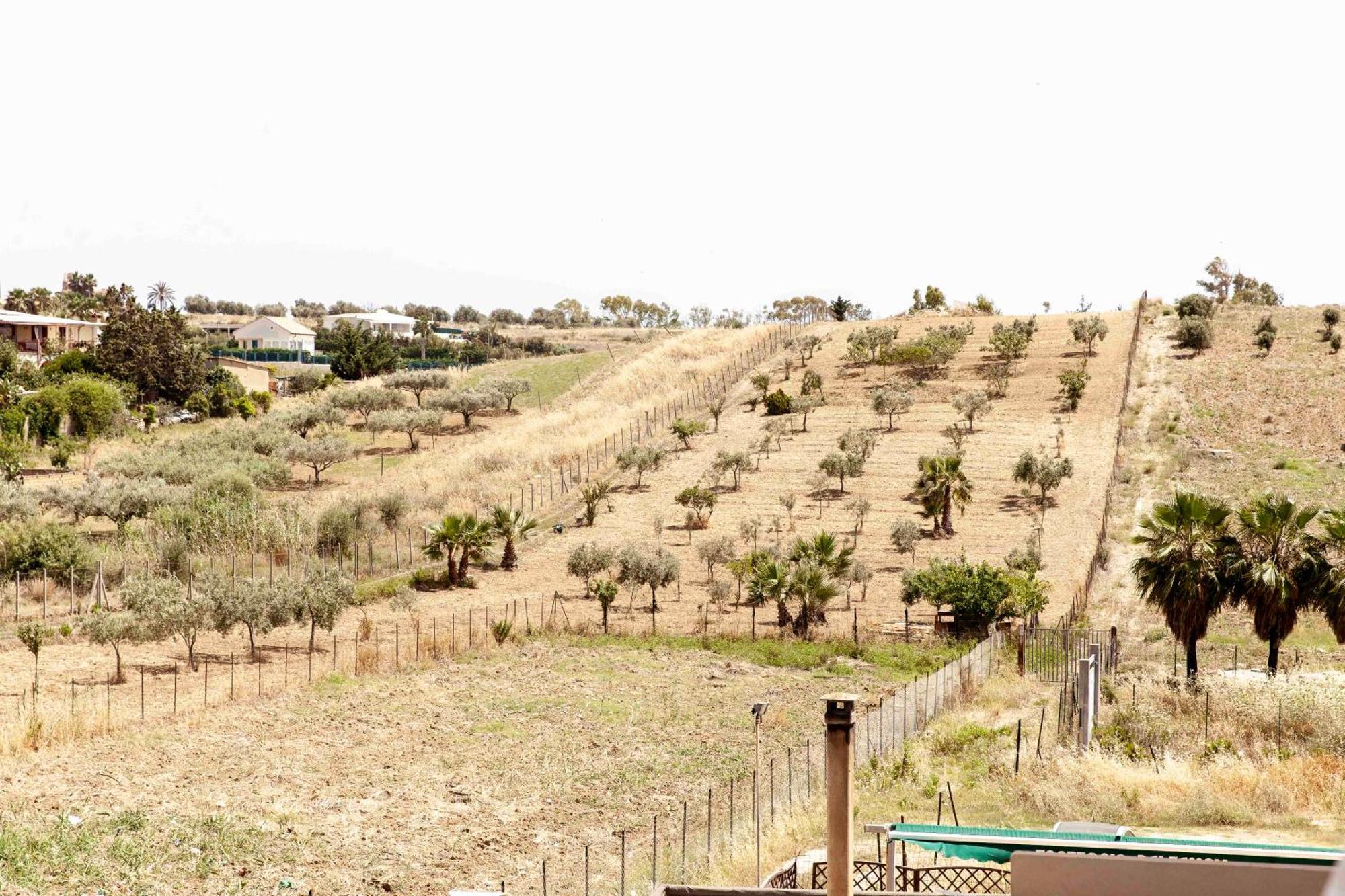 Le Case Di Lucioli' San Leone Exterior photo